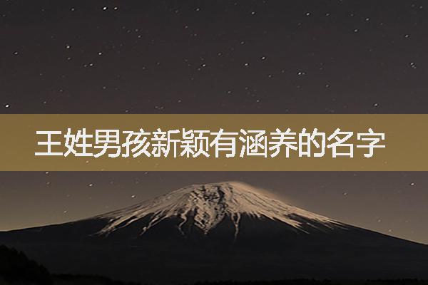 王姓男孩新颖有涵养的名字