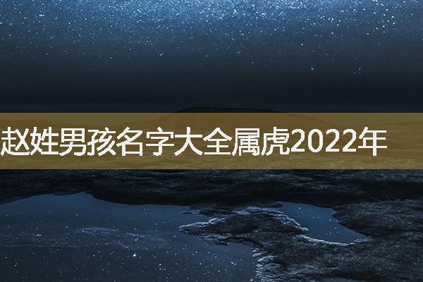 赵姓男孩名字大全属虎2022年