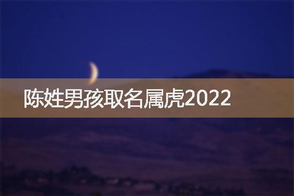 陈姓男孩取名属虎2022