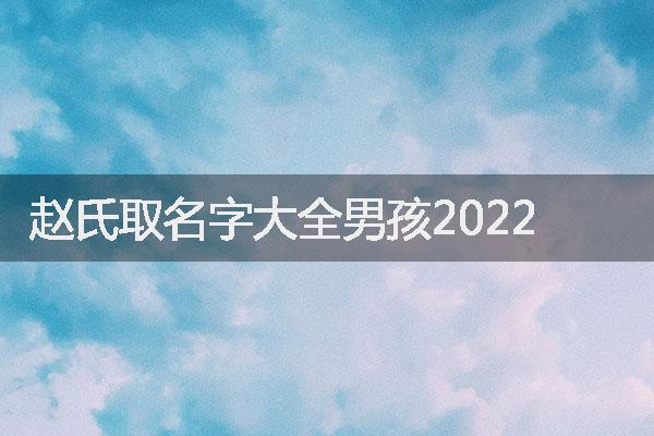 赵氏取名字大全男孩2022
