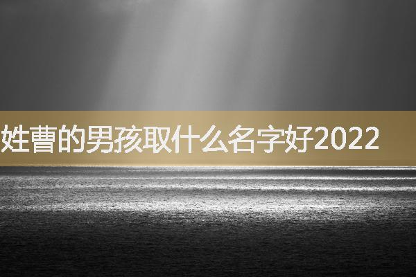 姓曹的男孩取什么名字好2022