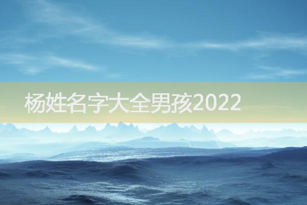 杨姓名字大全男孩2022