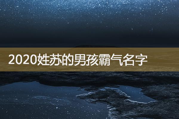 2020姓苏的男孩霸气名字