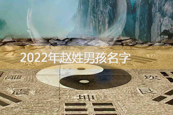 2022年赵姓男孩名字