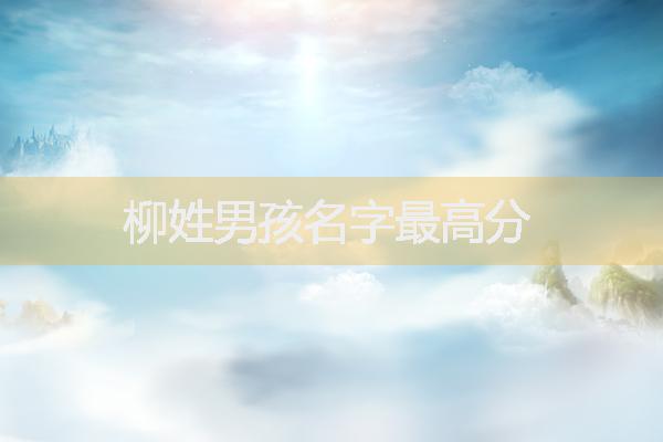 柳姓男孩名字最高分