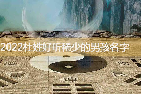 2022杜姓好听稀少的男孩名字