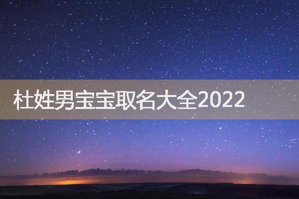 杜姓男宝宝取名大全2022