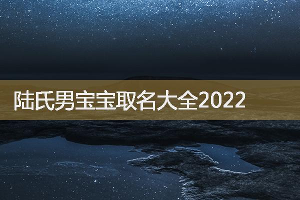 陆氏男宝宝取名大全2022